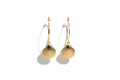 Shell-shaped earrings against a beige background by xomango