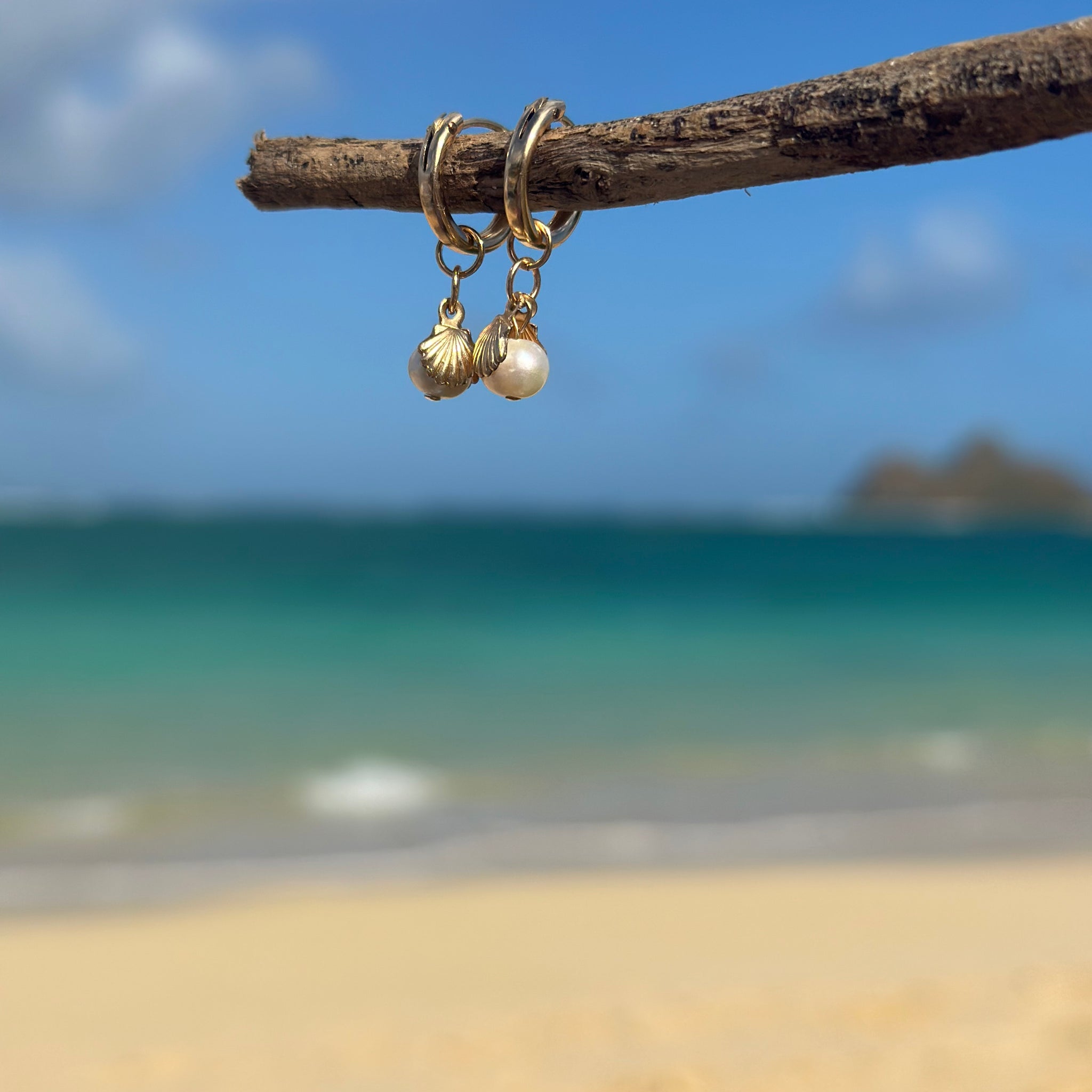 Pearl in clamshell Hoop earrings